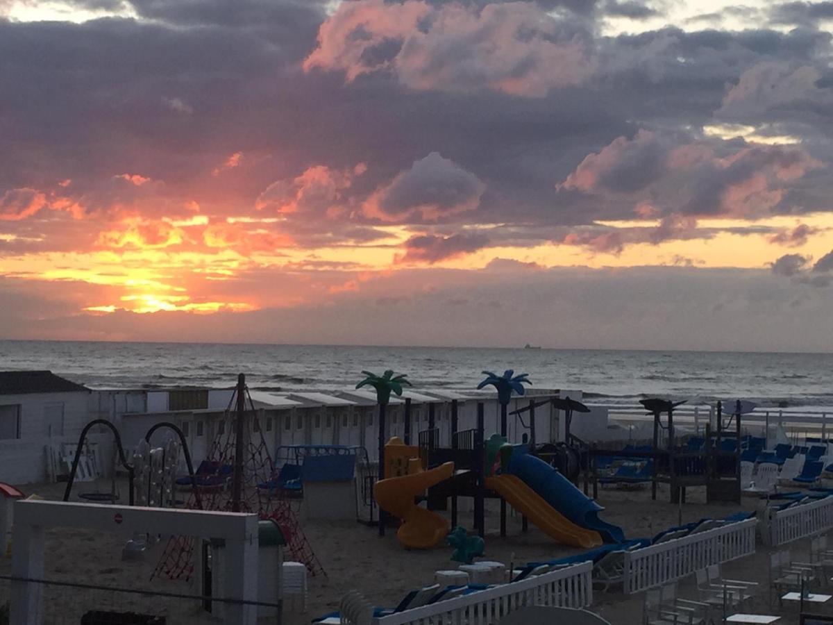 Studio Lumineux Cosy Blankenberge Lägenhet Exteriör bild